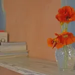 منزل ريفي Son De Mar Rural &
