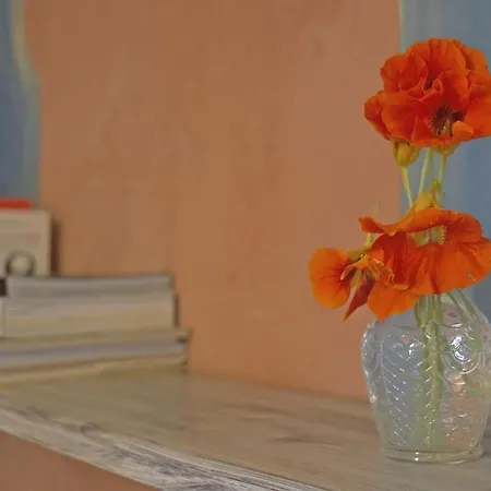 Летний дом Son De Mar Hotel Rural & Apartamento