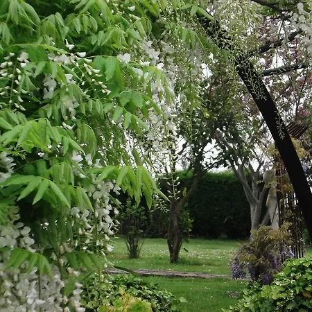 Летний дом Son De Mar Hotel Rural & Apartamento *