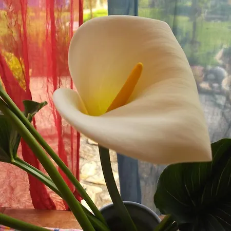 Son De Mar Rural & منزل ريفي