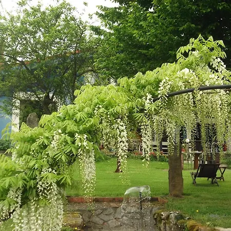 Son De Mar Rural & Séjour à la campagne